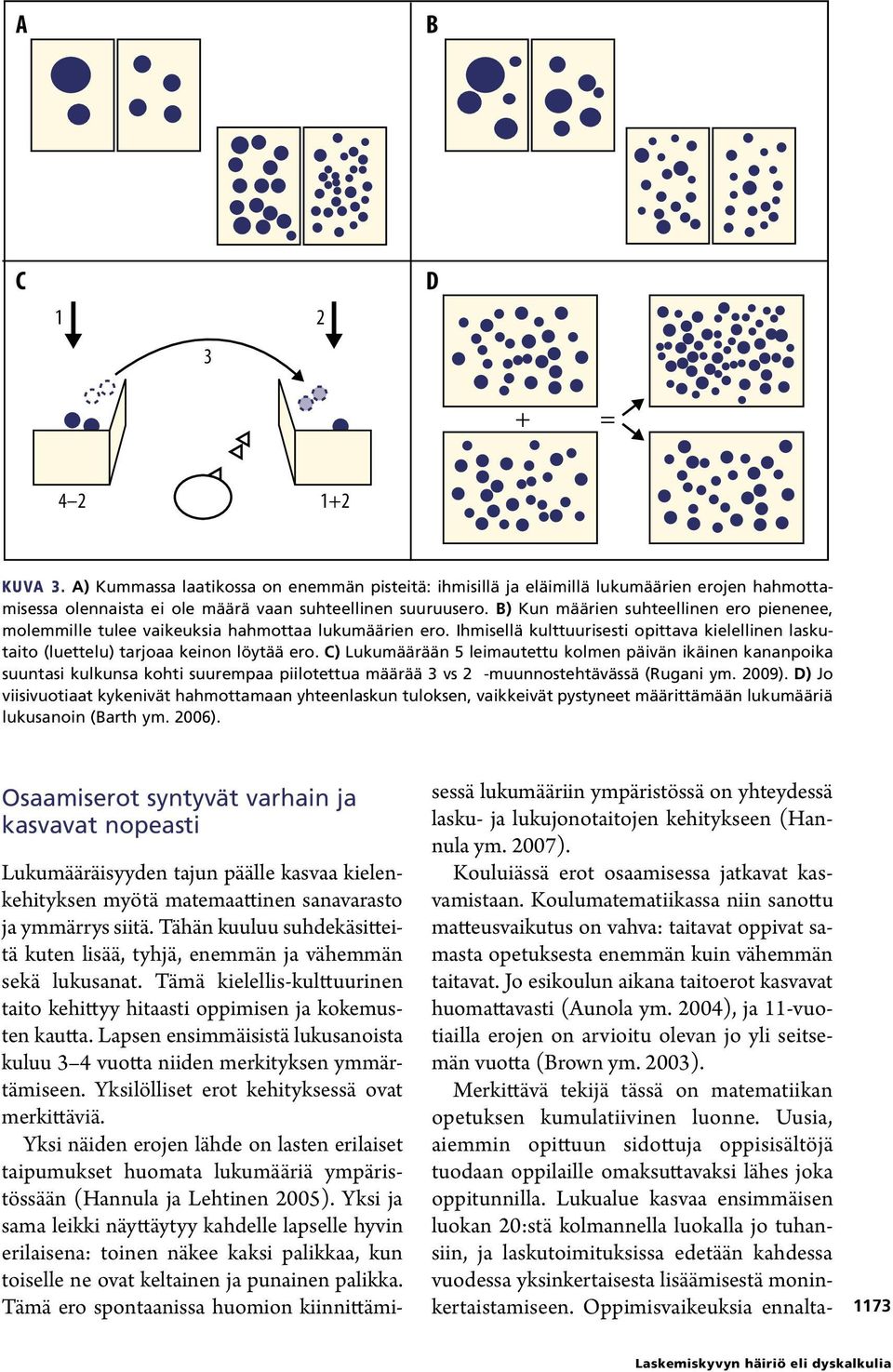 C) Lukumäärään 5 leimautettu kolmen päivän ikäinen kananpoika suuntasi kulkunsa kohti suurempaa piilotettua määrää 3 vs 2 -muunnostehtävässä (Rugani ym. 2009).