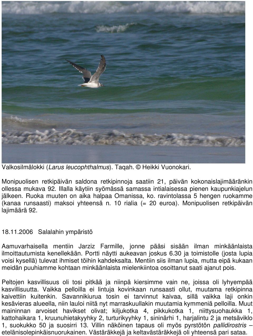 10 rialia (= 20 euroa). Monipuolisen retkipäivän lajimäärä 92. 18.11.