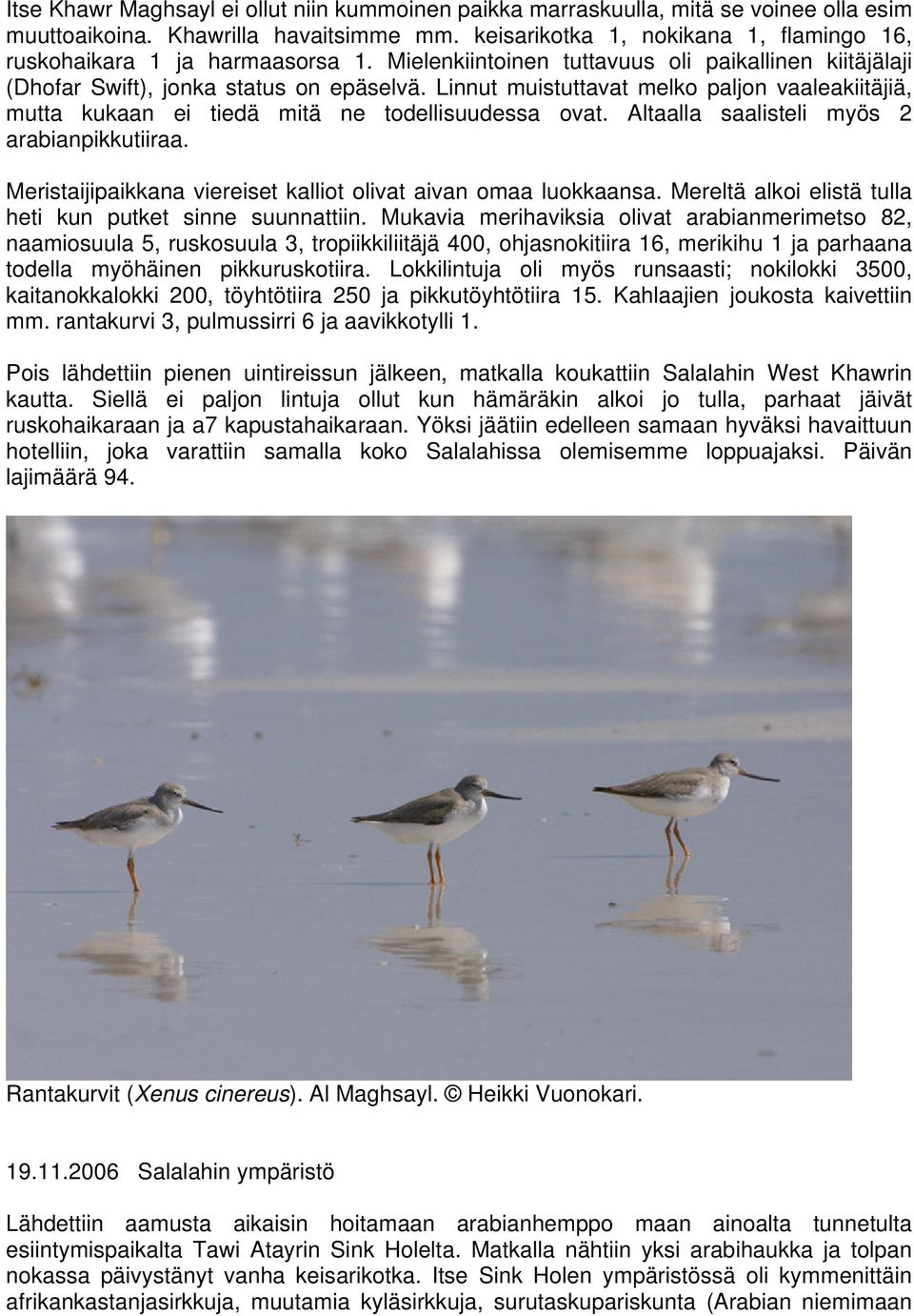 Linnut muistuttavat melko paljon vaaleakiitäjiä, mutta kukaan ei tiedä mitä ne todellisuudessa ovat. Altaalla saalisteli myös 2 arabianpikkutiiraa.
