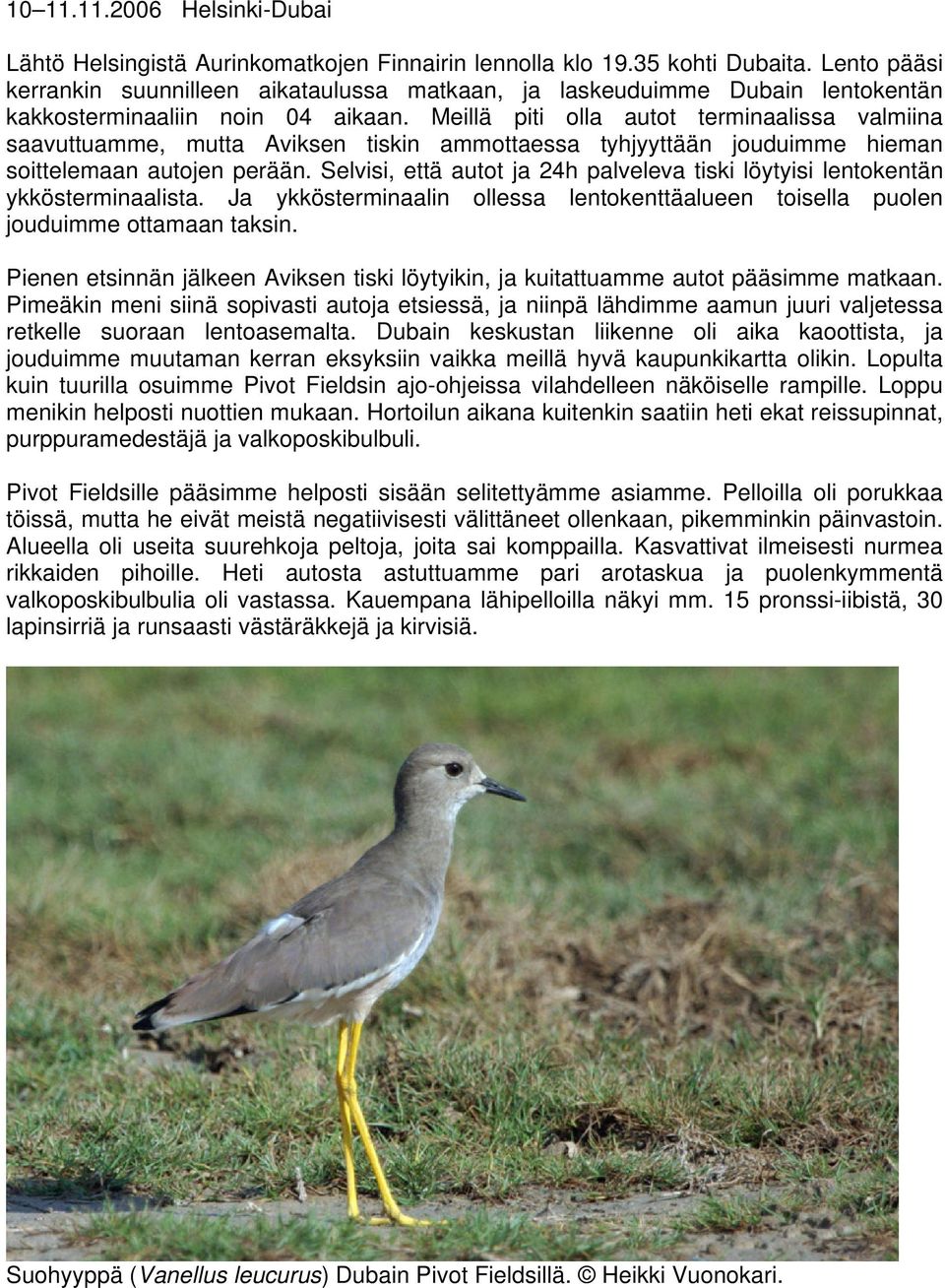 Meillä piti olla autot terminaalissa valmiina saavuttuamme, mutta Aviksen tiskin ammottaessa tyhjyyttään jouduimme hieman soittelemaan autojen perään.