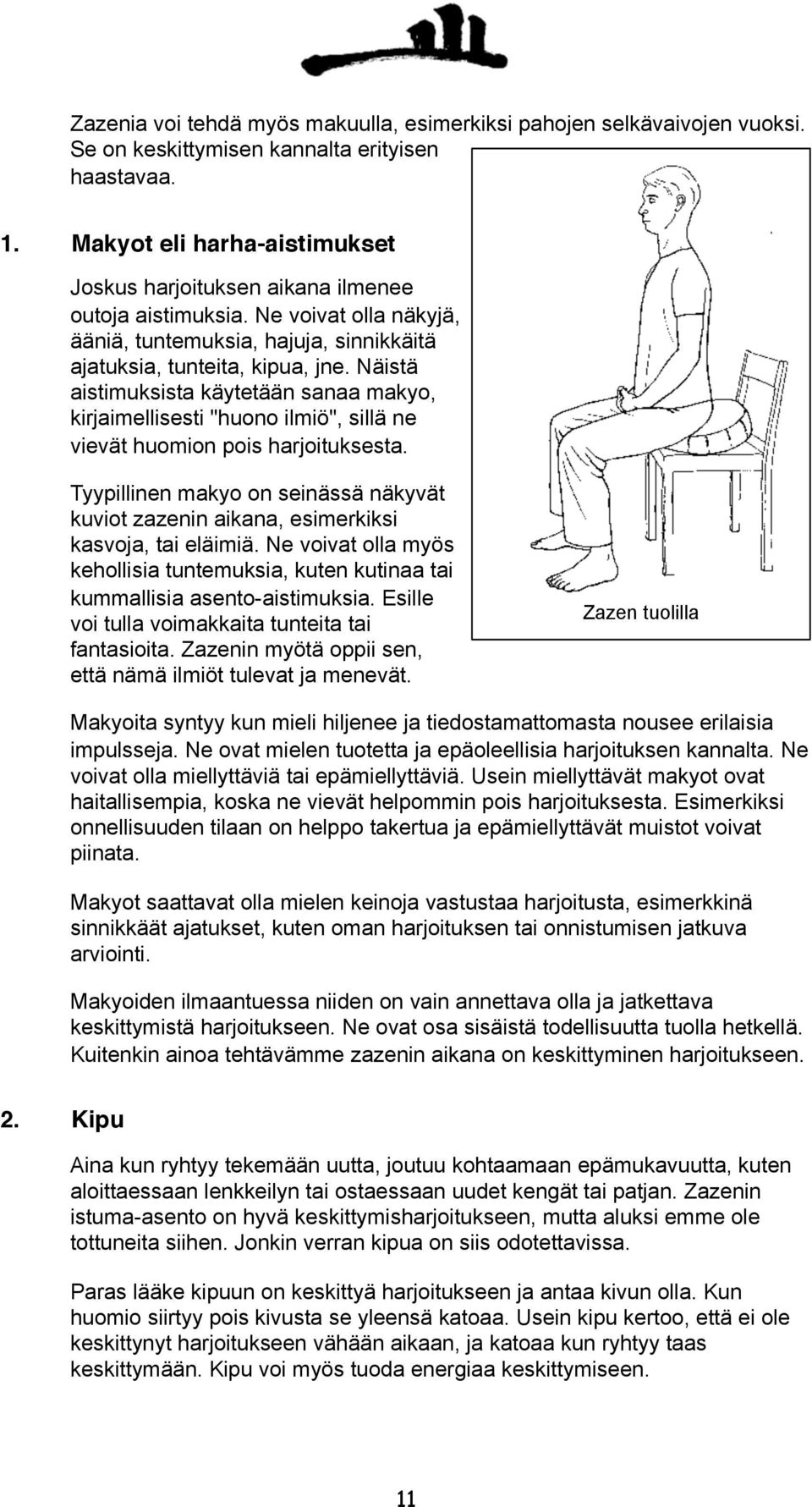 Näistä aistimuksista käytetään sanaa makyo, kirjaimellisesti "huono ilmiö", sillä ne vievät huomion pois harjoituksesta.