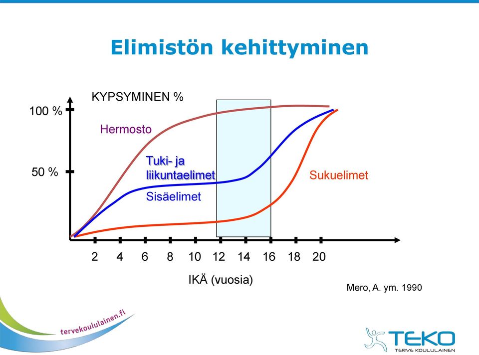 Sisäelimet Sukuelimet 2 4 6 8 10 12 14