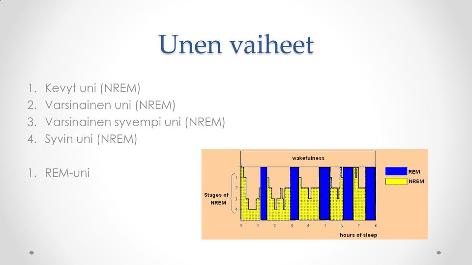 Varsinainen uni (NREM) 3.