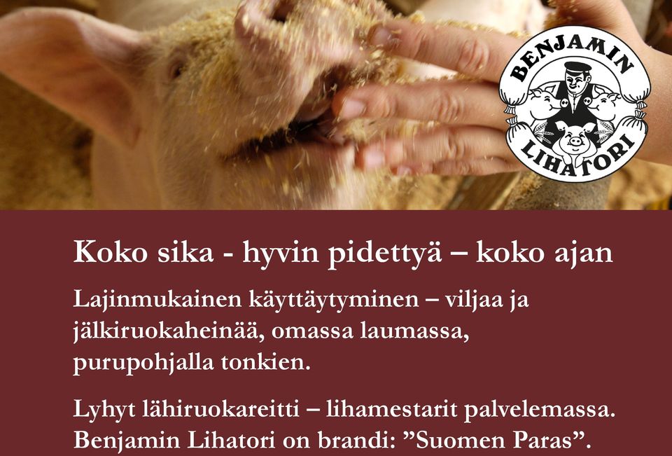 laumassa, purupohjalla tonkien.