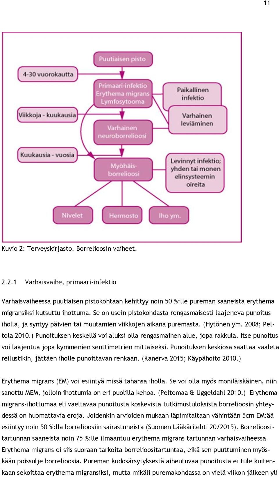 Se on usein pistokohdasta rengasmaisesti laajeneva punoitus iholla, ja syntyy päivien tai muutamien viikkojen aikana puremasta. (Hytönen ym. 28; Peltola 21.