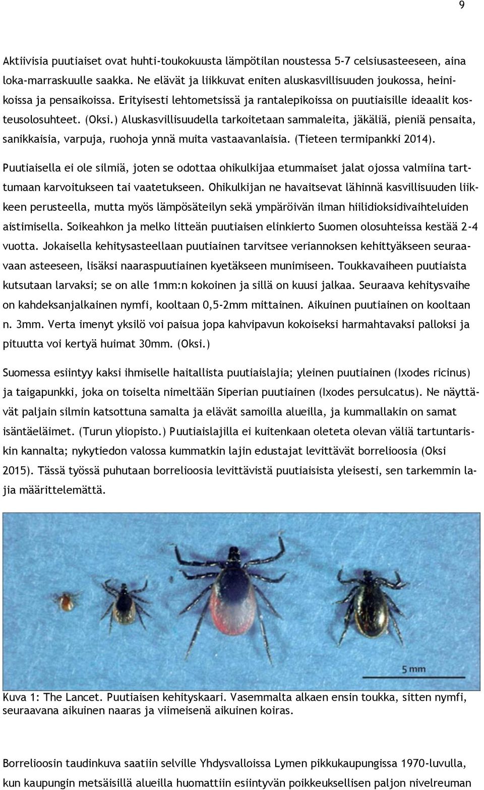 ) Aluskasvillisuudella tarkoitetaan sammaleita, jäkäliä, pieniä pensaita, sanikkaisia, varpuja, ruohoja ynnä muita vastaavanlaisia. (Tieteen termipankki 214).