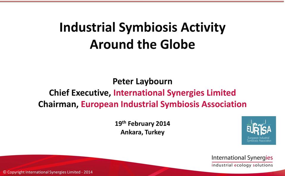 Synergies Limited Chairman, European Industrial