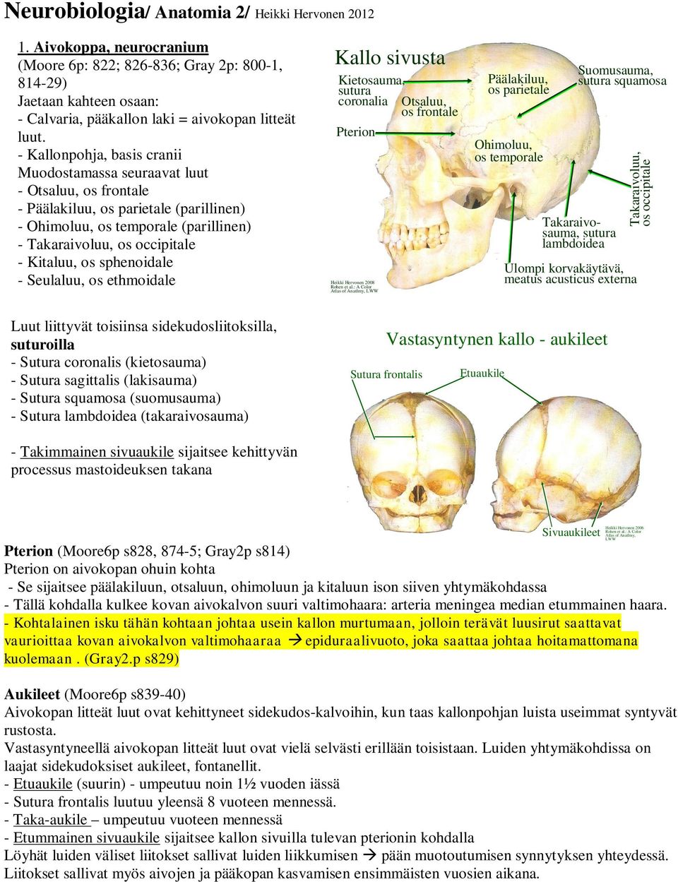 os sphenoidale - Seulaluu, os ethmoidale Kallo sivusta Kietosauma, sutura coronalia Otsaluu, os frontale Pterion Rohen et al.