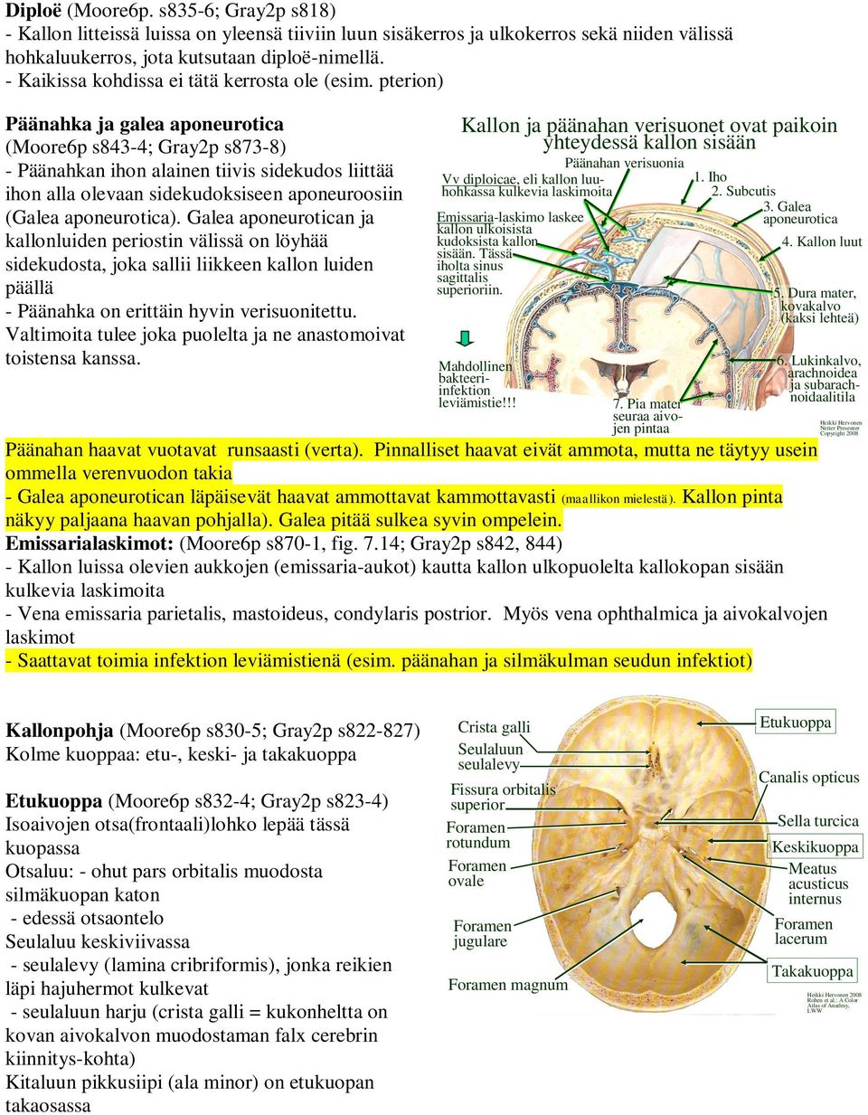 pterion) Päänahka ja galea aponeurotica (Moore6p s843-4; Gray2p s873-8) - Päänahkan ihon alainen tiivis sidekudos liittää ihon alla olevaan sidekudoksiseen aponeuroosiin (Galea aponeurotica).