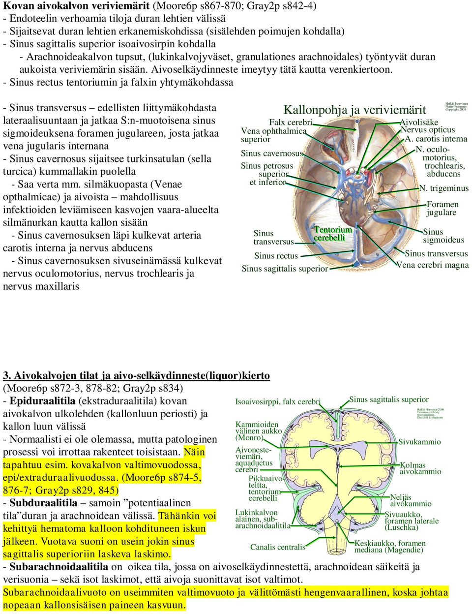 Aivoselkäydinneste imeytyy tätä kautta verenkiertoon.