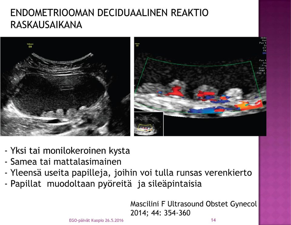 tulla runsas verenkierto - Papillat muodoltaan pyöreitä ja sileäpintaisia