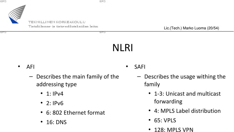 addressing type 1: IPv4 2: IPv6 6: 802 Ethernet format 16: DNS