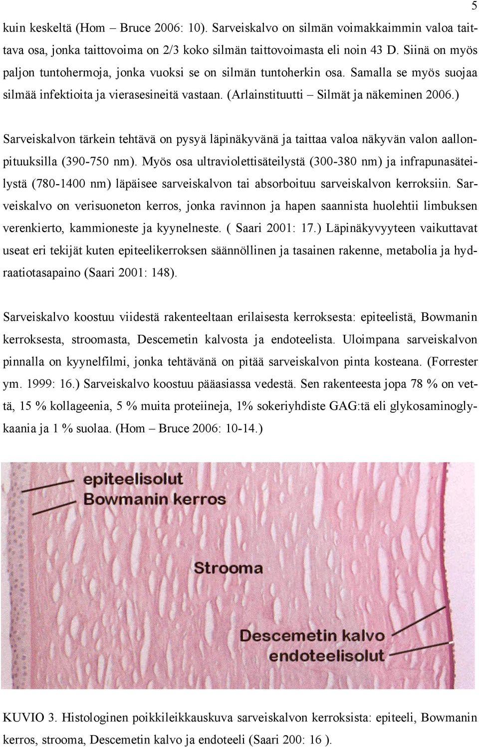 ) Sarveiskalvon tärkein tehtävä on pysyä läpinäkyvänä ja taittaa valoa näkyvän valon aallonpituuksilla (390-750 nm).