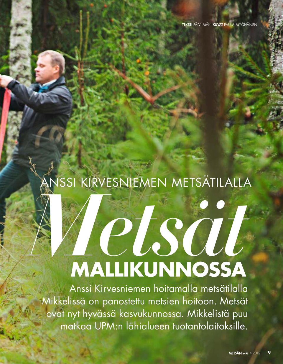 metsätilalla Mikkelissä on panostettu metsien hoitoon.