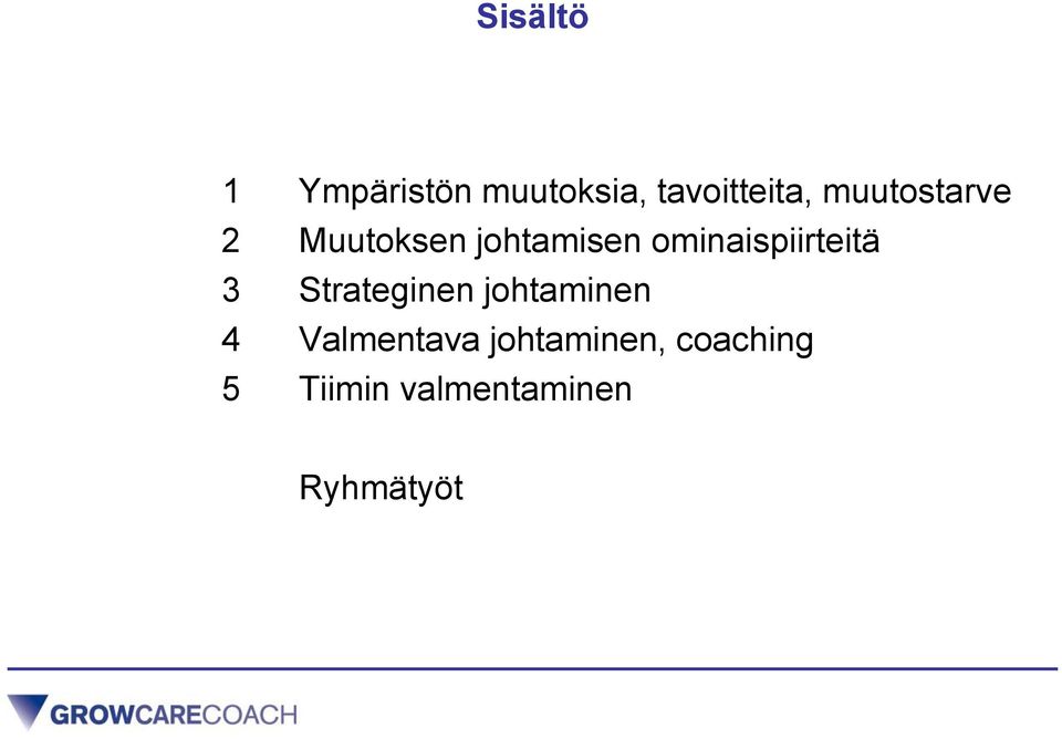 ominaispiirteitä 3 Strateginen johtaminen 4