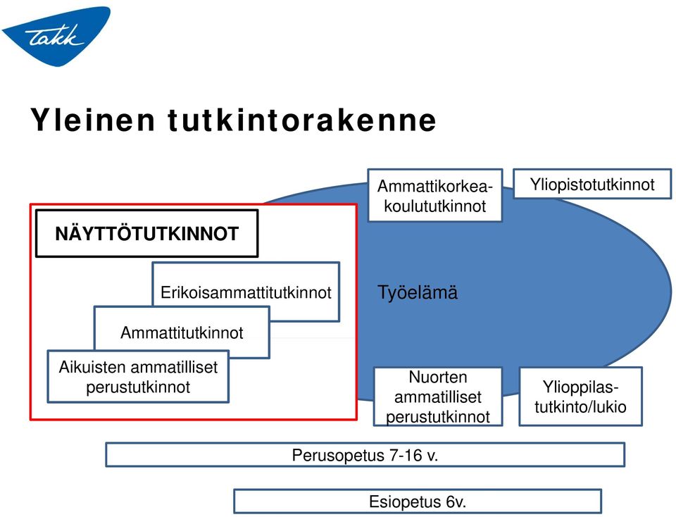 perustutkinnot Työelämä Nuorten ammatilliset perustutkinnot