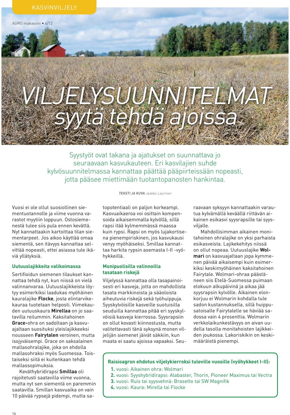 TEKSTI JA KUVA Jaakko Laurinen Vuosi ei ole ollut suosiollinen siementuotannolle ja viime vuonna varastot myytiin loppuun. Ostosiemenestä tulee siis pula ennen kevättä.