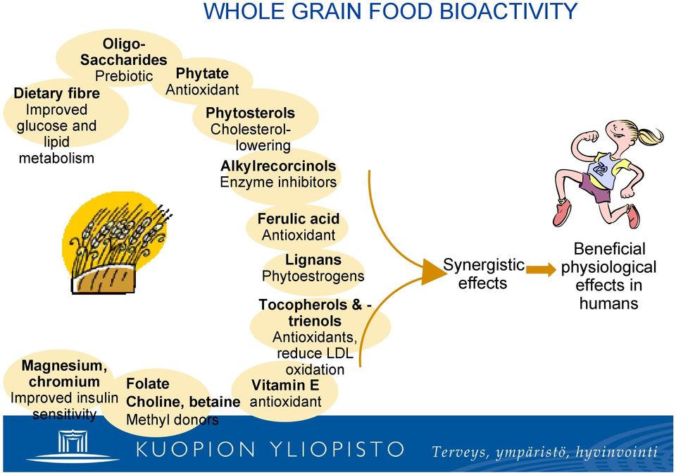 sensitivity Folate Choline, betaine Methyl donors Ferulic acid Antioxidant Lignans Phytoestrogens Tocopherols &