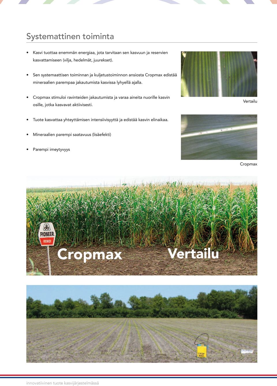 Cropmax stimuloi ravinteiden jakautumista ja varaa aineita nuorille kasvin osille, jotka kasvavat aktiivisesti.