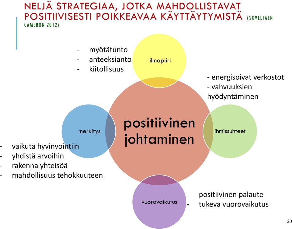 hyödyntäminen merkitys - vaikuta hyvinvointiin - yhdistä arvoihin - rakenna yhteisöä - mahdollisuus