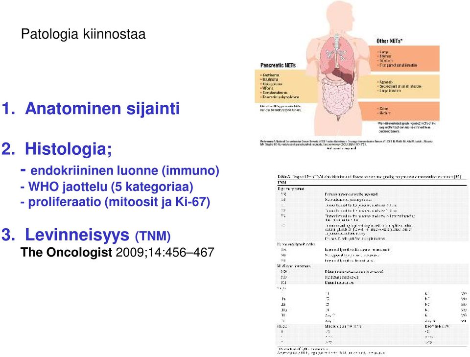 jaottelu (5 kategoriaa) - proliferaatio (mitoosit ja