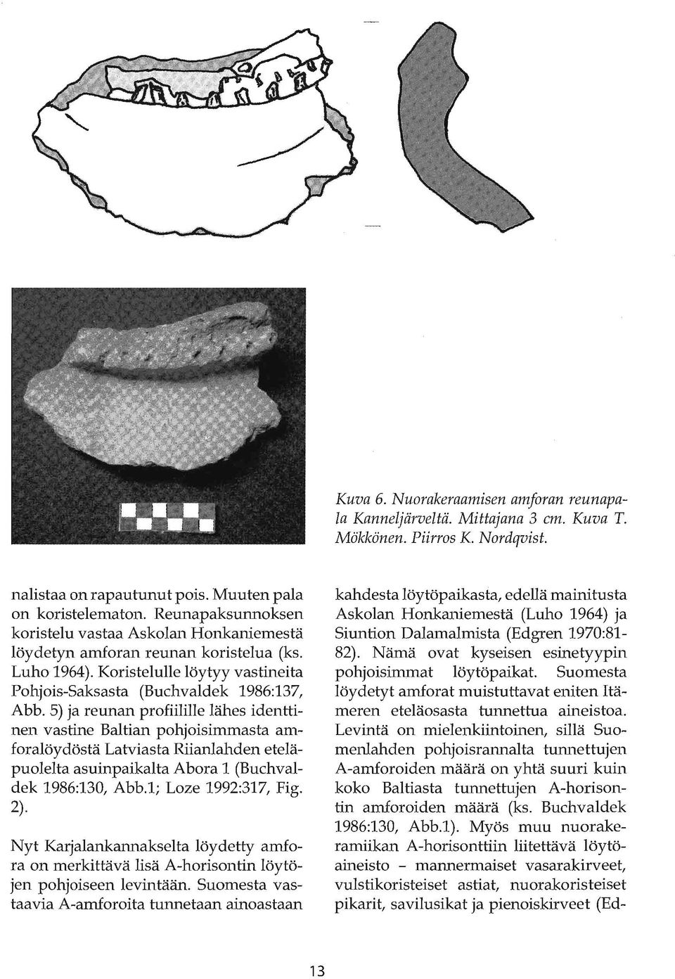 5) ja reunan profiilille lähes identtinen vastine Baltian pohjoisimmasta amforalöydöstä Latviasta Riianlahden eteläpuolelta asuinpaikalta Abora 1 (Buchvaldek 1986:130, Abb.1; Loze 1992:317, Fig. 2).