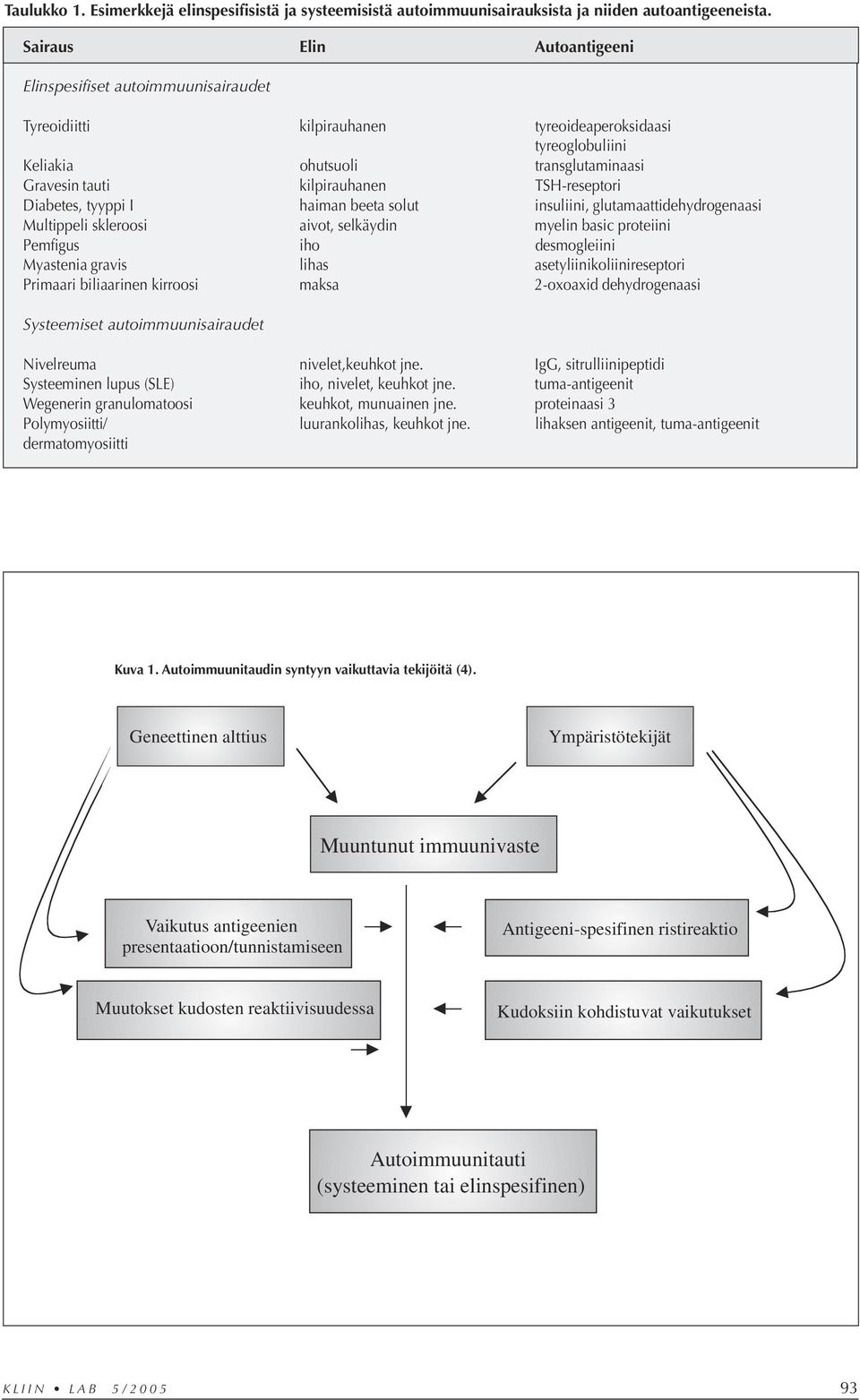 TSH-reseptori Diabetes, tyyppi I haiman beeta solut insuliini, glutamaattidehydrogenaasi Multippeli skleroosi aivot, selkäydin myelin basic proteiini Pemfigus iho desmogleiini Myastenia gravis lihas