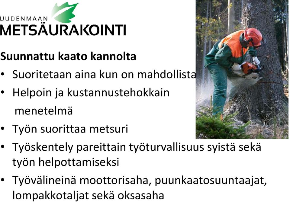 Työskentely pareittain työturvallisuus syistä sekä työn