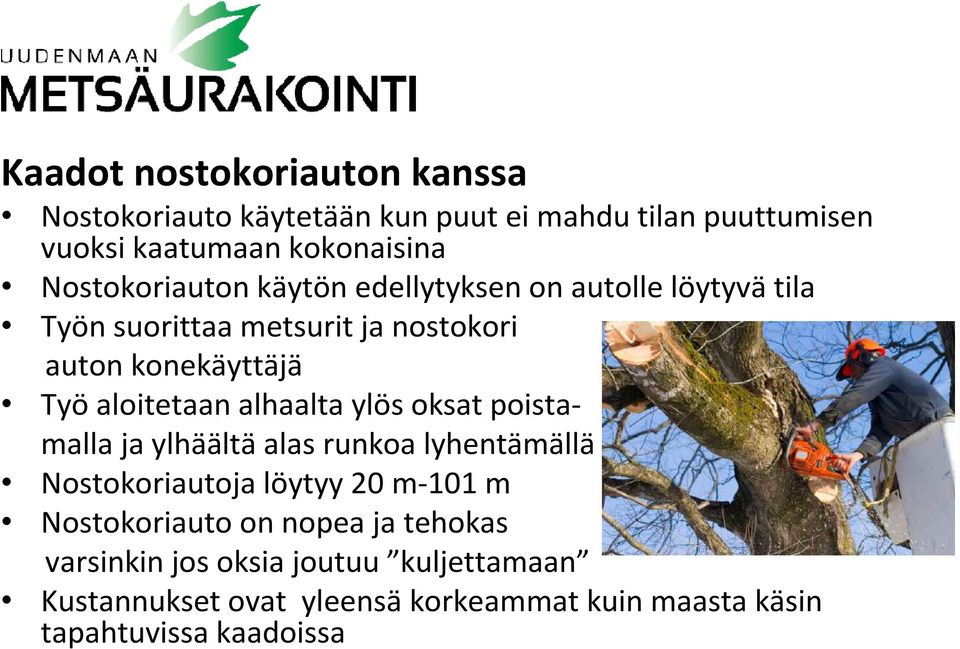 aloitetaan alhaalta ylös oksat poistamalla ja ylhäältä alas runkoa lyhentämällä Nostokoriautoja löytyy 20 m-101 m