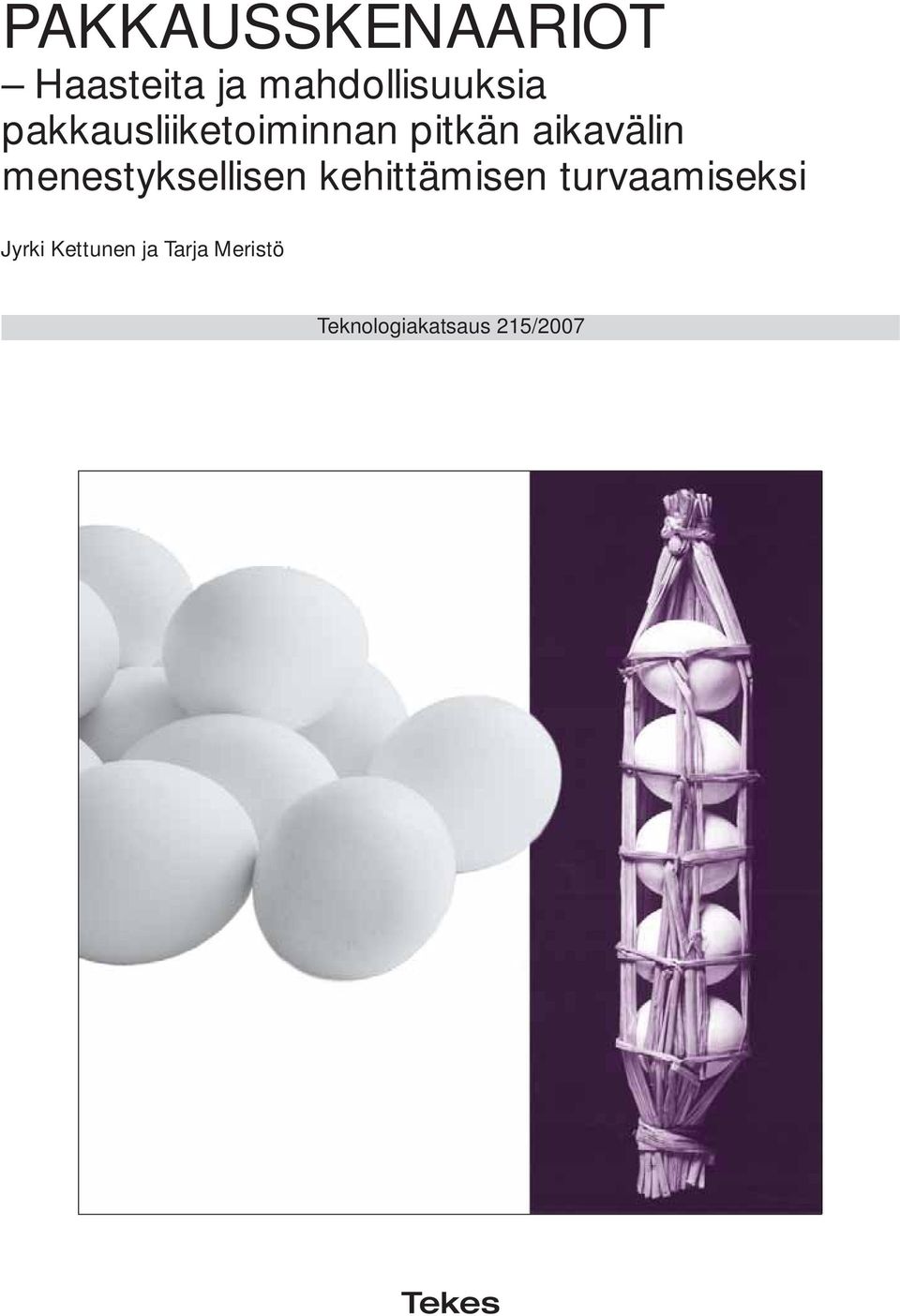 menestyksellisen kehittämisen turvaamiseksi