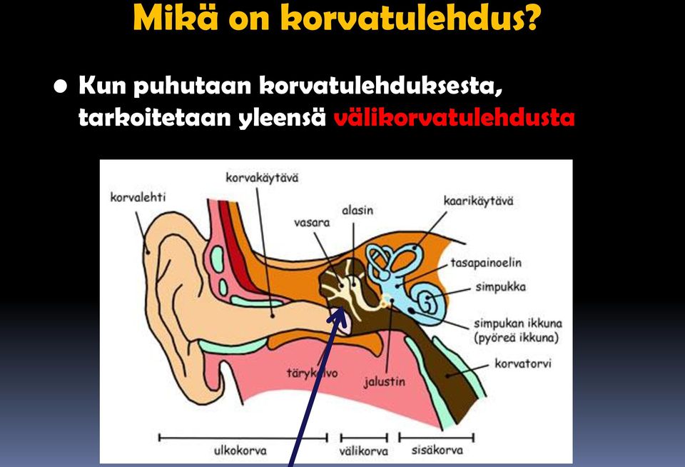 korvatulehduksesta,