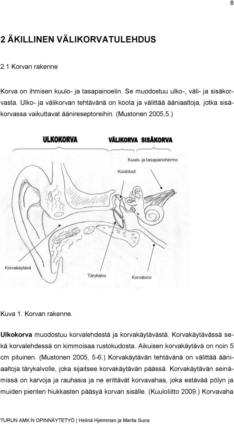 Ulkokorva muodostuu korvalehdestä ja korvakäytävästä. Korvakäytävässä sekä korvalehdessä on kimmoisaa rustokudosta. Aikuisen korvakäytävä on noin 5 cm pituinen. (Mustonen 2005, 5-6.