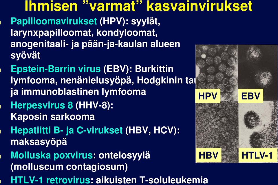 immunobastinen ymfooma Herpesvirus 8 (HHV-8): Kaposin sarkooma Hepatiitti B- ja C-virukset (HBV, HCV):