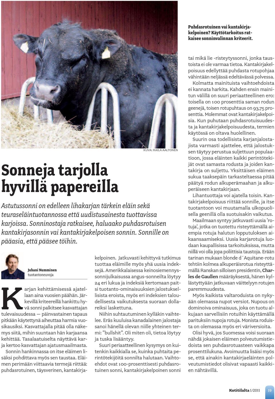 Sonninostaja ratkaisee, haluaako puhdasrotuisen kantakirjasonnin vai kantakirjakelpoisen sonnin. Sonnille on pääasia, että pääsee töihin.