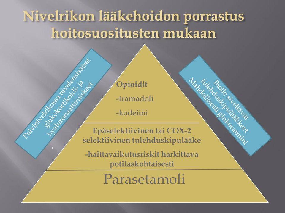 selektiivinen tulehduskipulääke