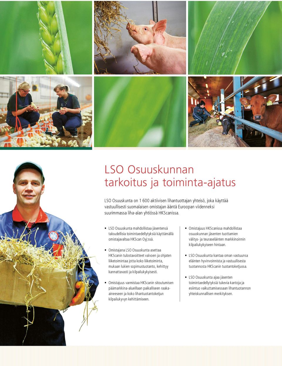 Omistajana LSO Osuuskunta asettaa HKScanin tulostavoitteet valvoen ja ohjaten liiketoimintaa jotta koko liiketoiminta, mukaan lukien sopimustuotanto, kehittyy kannattavasti ja kilpailukykyisesti.