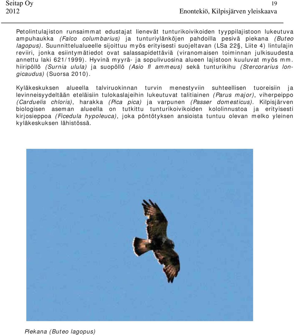 621/1999). Hyvinä myyrä- ja sopulivuosina alueen lajistoon kuuluvat myös mm. hiiripöllö (Surnia ulula) ja suopöllö (Asio fl ammeus) sekä tunturikihu (Stercorarius longicaudus) (Suorsa 2010).