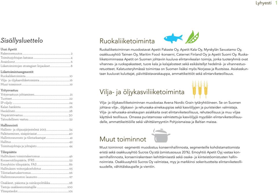 .. 30 Taloudellinen vastuu...32 Hallinnointi Hallinto- ja ohjausjärjestelmä 2013...34 Palkitseminen, sisäpiiriasiat...40 Hallintoneuvosto ja tilintarkastajat...41 Hallitus.