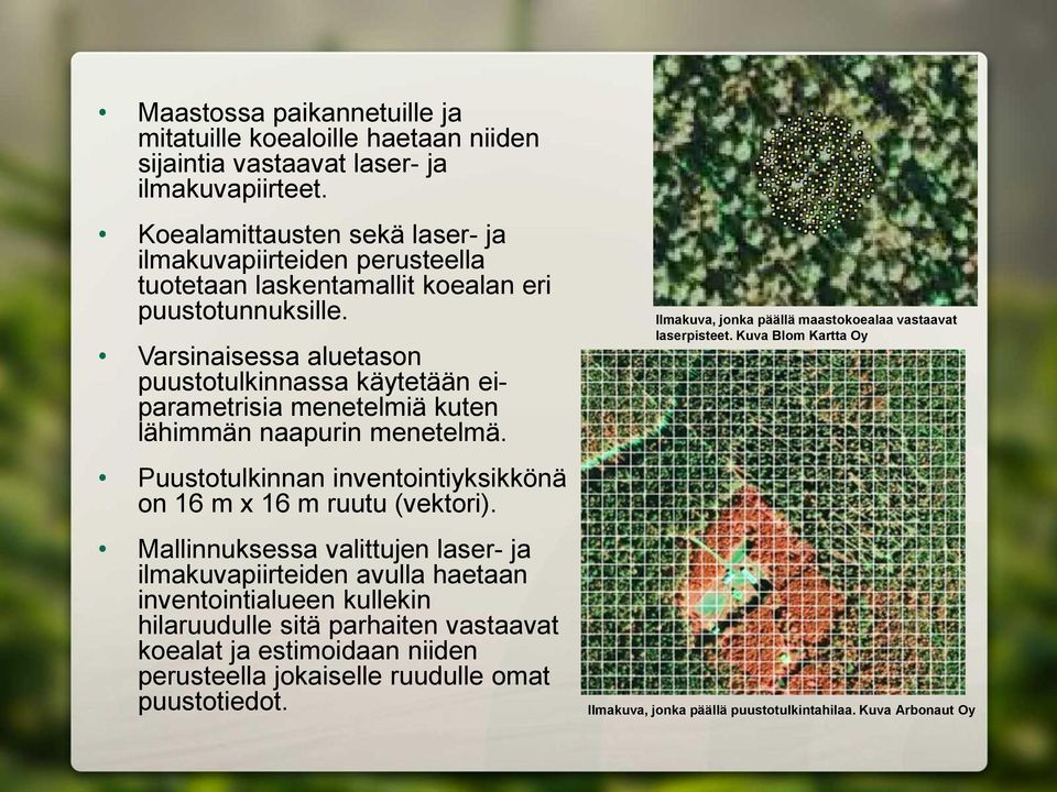 Varsinaisessa aluetason puustotulkinnassa käytetään eiparametrisia menetelmiä kuten lähimmän naapurin menetelmä. Puustotulkinnan inventointiyksikkönä on 16 m x 16 m ruutu (vektori).