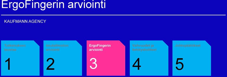 arviointi ErgoFingerin arviointi