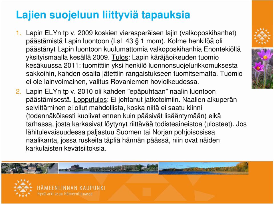 Tulos: Lapin käräjäoikeuden tuomio kesäkuussa 2011: tuomittiin yksi henkilö luonnonsuojelurikkomuksesta sakkoihin, kahden osalta jätettiin rangaistukseen tuomitsematta.