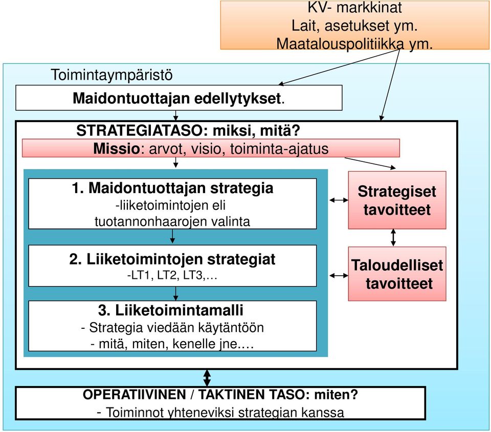 Maidontuottajan strategia -liiketoimintojen eli tuotannonhaarojen valinta 2. Liiketoimintojen strategiat -LT1, LT2, LT3, 3.