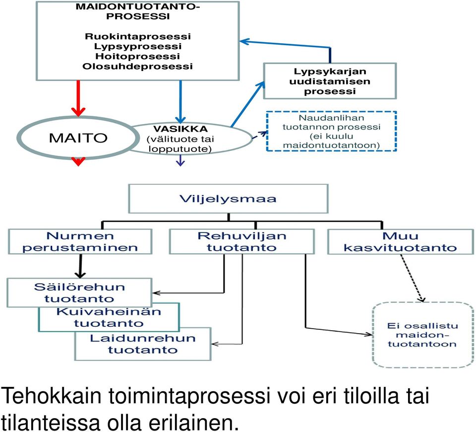 (välituote tai lopputuote) Naudanlihan tuotannon prosessi (ei kuulu