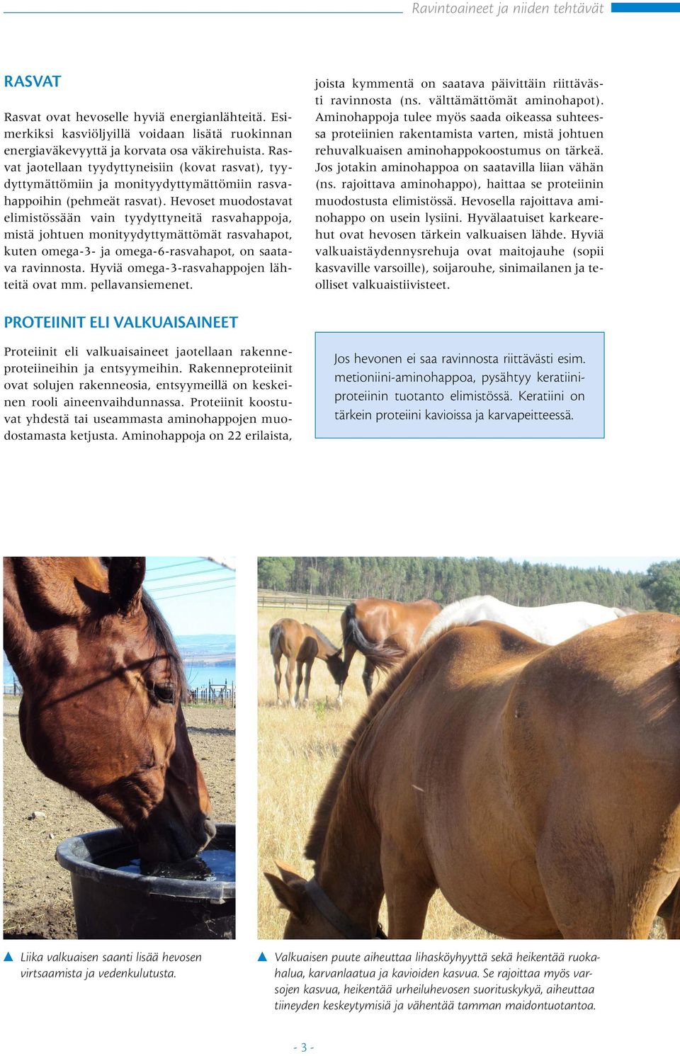 Hevoset muodostavat elimistössään vain tyydyttyneitä rasvahappoja, mistä johtuen monityydyttymättömät rasvahapot, kuten omega-3- ja omega-6-rasvahapot, on saatava ravinnosta.