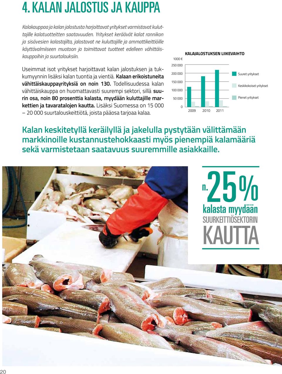 suurtalouksiin. Useimmat isot yritykset harjoittavat kalan jalostuksen ja tukkumyynnin lisäksi kalan tuontia ja vientiä. Kalaan erikoistuneita vähittäiskauppayrityksiä on noin 13.