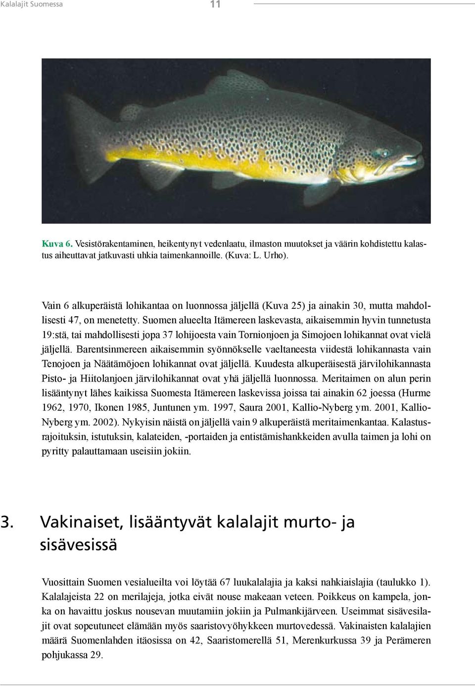 Suomen alueelta Itämereen laskevasta, aikaisemmin hyvin tunnetusta 19:stä, tai mahdollisesti jopa 37 lohijoesta vain Tornionjoen ja Simojoen lohikannat ovat vielä jäljellä.