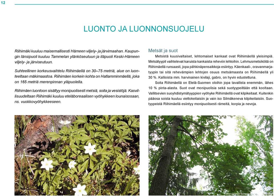 Riihimäen luontoon sisältyy monipuolisesti metsiä, soita ja vesistöjä. Kasvillisuudeltaan Riihimäki kuuluu eteläboreaalisen vyöhykkeen lounaisosaan, ns. vuokkovyöhykkeeseen.