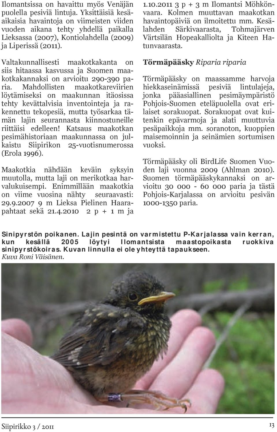 Kolmen muuttavan maakotkan havaintopäiviä on ilmoitettu mm. Kesälahden Särkivaarasta, Tohmajärven Värtsilän Hopeakalliolta ja Kiteen Hatunvaarasta.