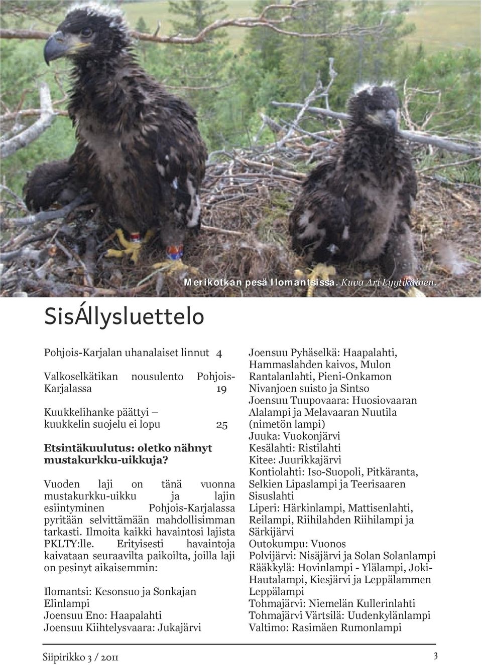 Vuoden laji on tänä vuonna mustakurkku-uikku ja lajin esiintyminen Pohjois-Karjalassa pyritään selvittämään mahdollisimman tarkasti. Ilmoita kaikki havaintosi lajista PKLTY:lle.
