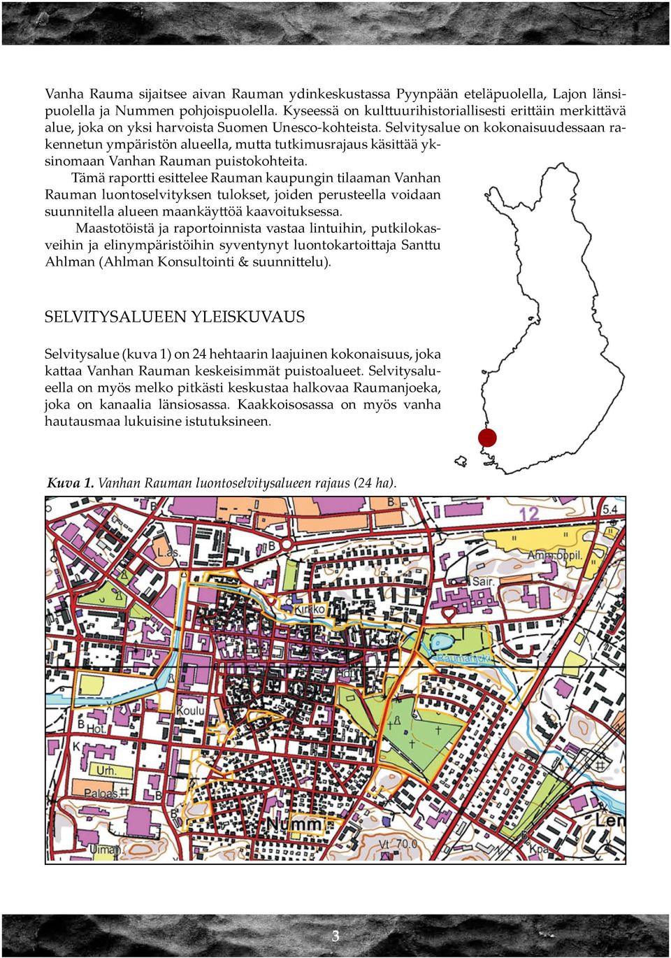 Selvitysalue on kokonaisuudessaan rakennetun ympäristön alueella, mutta tutkimusrajaus käsittää yksinomaan Vanhan Rauman puistokohteita.